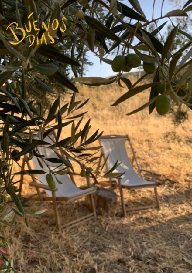 Tienda De Safari Almagro Hotell Montecorto Exteriör bild